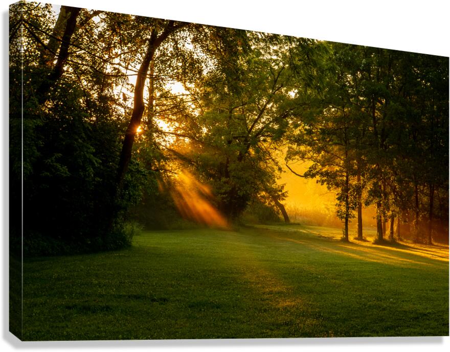Sunbeam Landscape Canvas Print