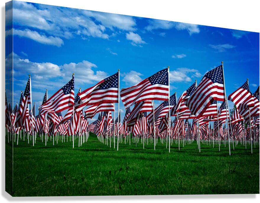 Memorial Day Canvas Print