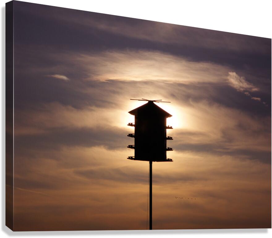 Birdhouse Impression sur toile