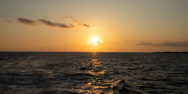 Hawaiian sunset by Kelly Fox