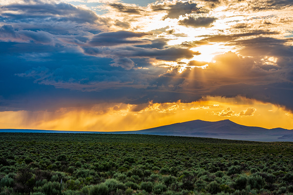 Eastern Desert Sunset by Kelly Fox