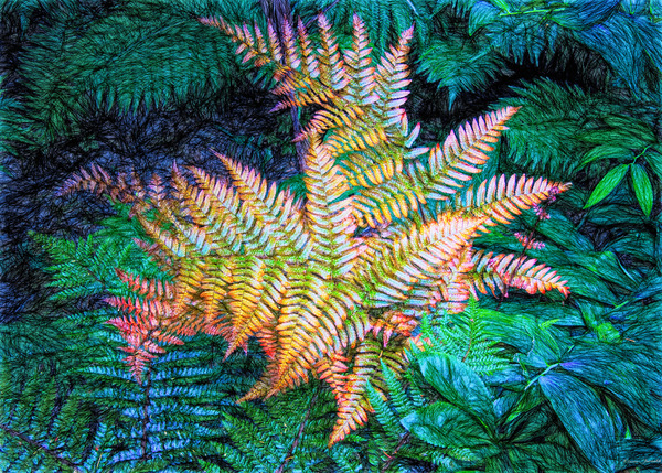 Autumn fern by E Jerauld