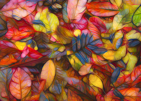 Fall colors 1 by E Jerauld