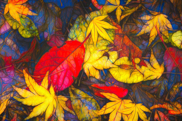 Fall colors 3 by E Jerauld