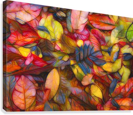 Fall colors 1 Canvas Print