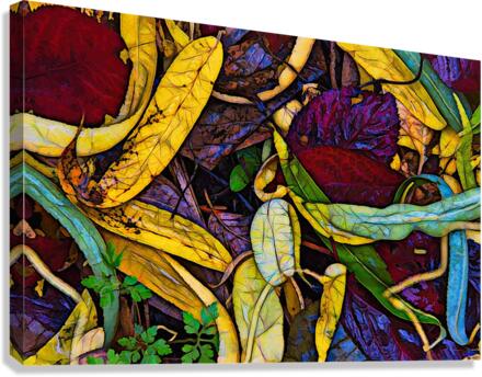 Fall colors 2 Canvas Print