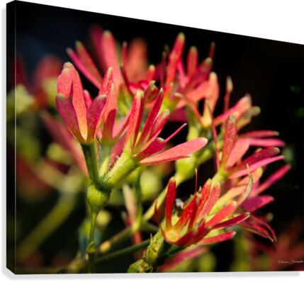 Seven Sons Canvas Print