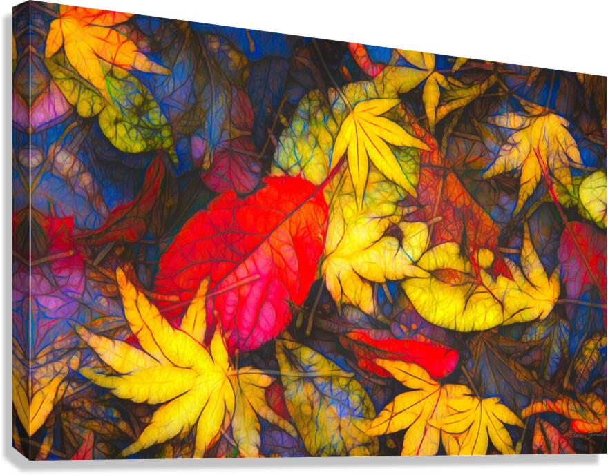 Fall colors 3 Canvas Print