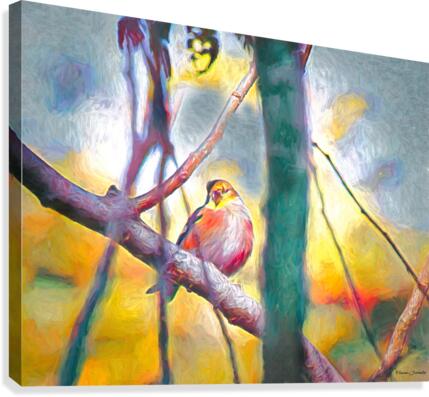 Goldfinch Canvas Print