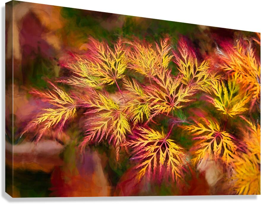 Fall Fireworks Canvas Print
