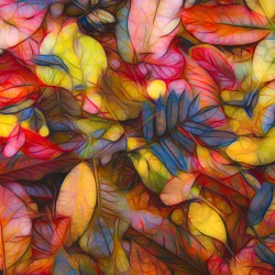 Fall colors 1