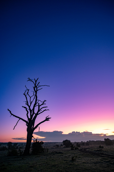 Ol Pejeta Sunrise - Ol Pejeta Conservancy Kenya by Two Dusty Travelers