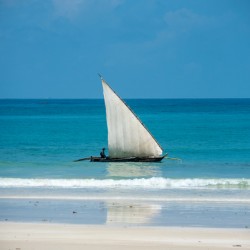 Dhow 2 - Diani Kenya