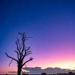 Ol Pejeta Sunrise - Ol Pejeta Conservancy Kenya