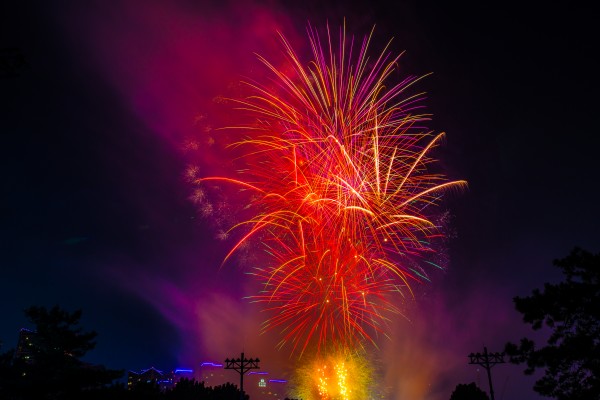 FIREWORKS Print