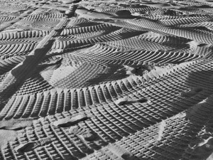 Sand Prints