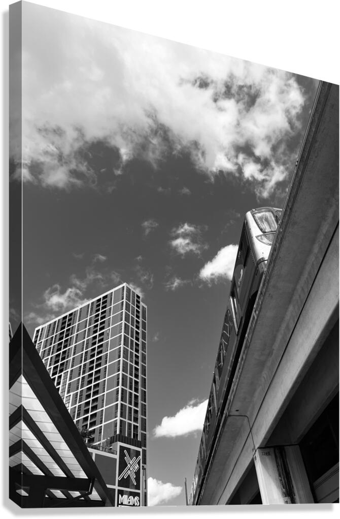 On the Move Canvas Print