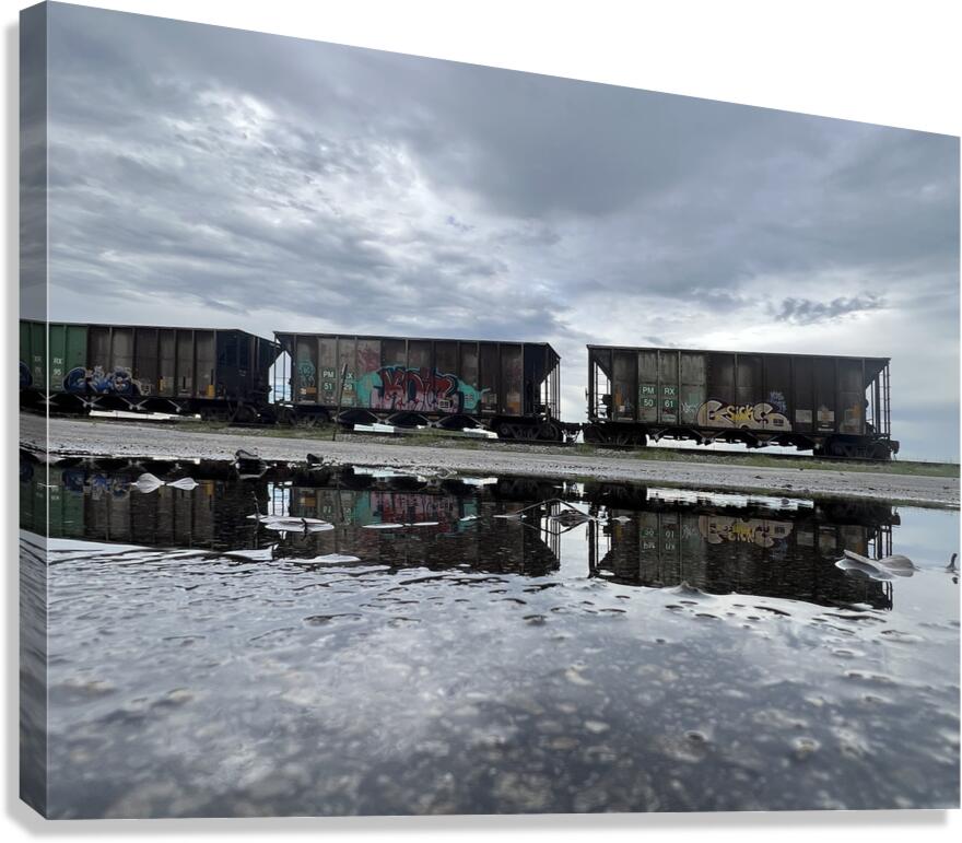 Desolation Canvas Print