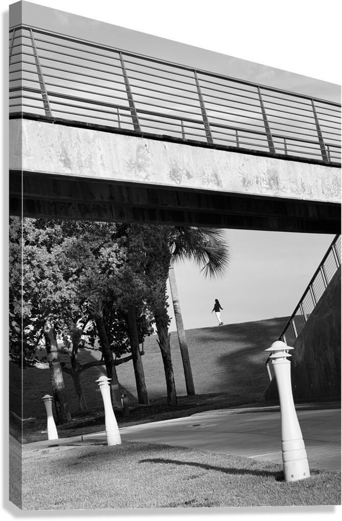Here and There Canvas Print