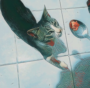  Feline Feast: A Culinary Adventure