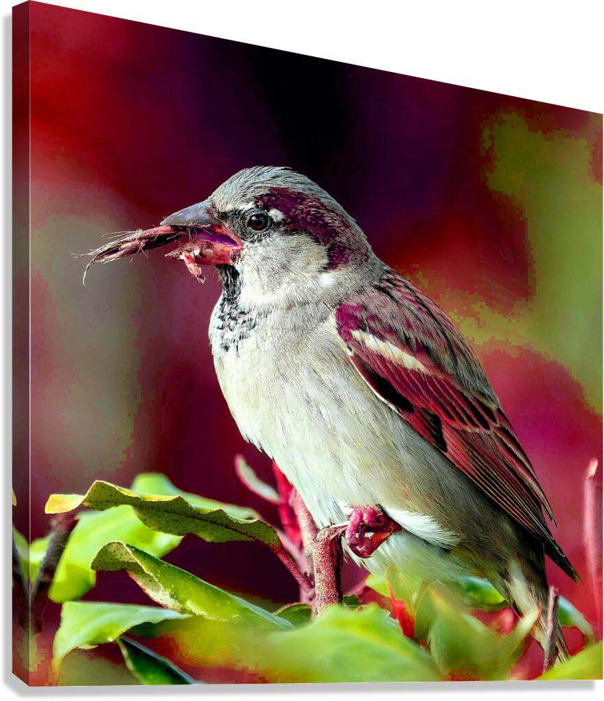 Natures Symphony: A Tapestry of Floral Beauty and Avian Grace Canvas Print