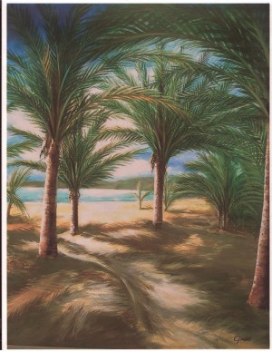 Shady beach