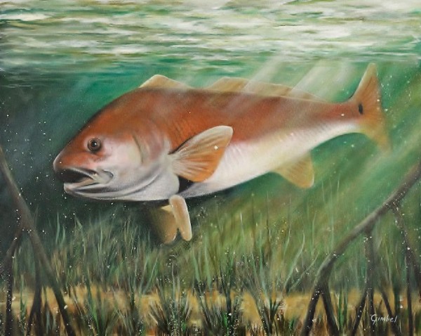 redfish Print