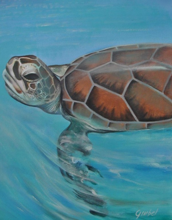 turtle Print