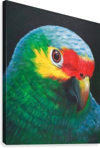 Sam Canvas Print