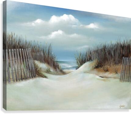 Sand dunes Canvas Print