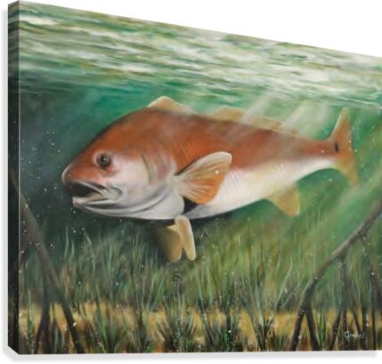 redfish Canvas Print