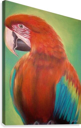 Leroy Canvas Print