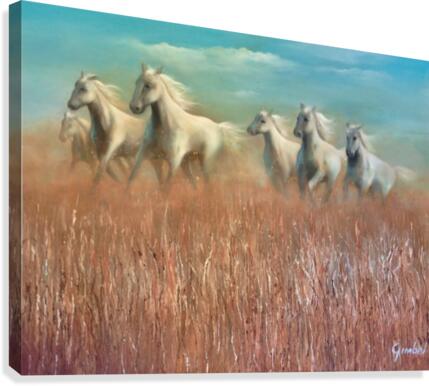 camarque  Canvas Print