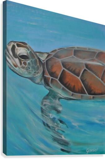 turtle Canvas Print