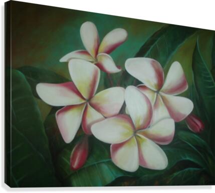 plumaria Canvas Print