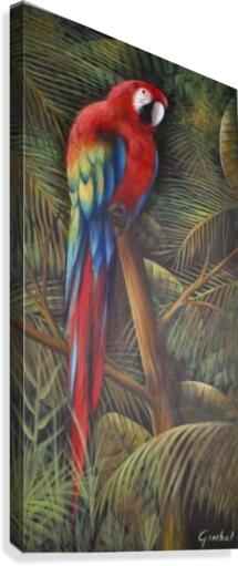 Parrot Canvas Print