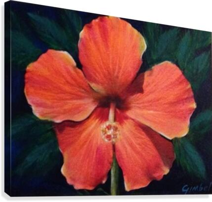 Hibiscus Canvas Print
