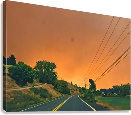 Fire Flight  Canvas Print