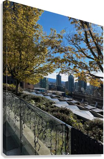 From the Rooftops  Canvas Print