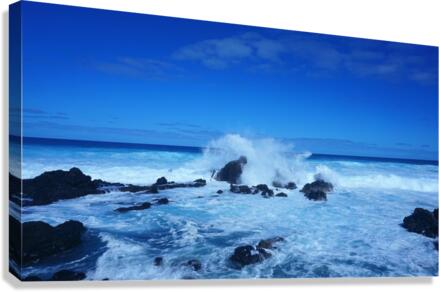 Maui Waves Canvas Print