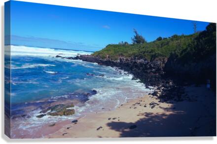 Maui Beaches  Canvas Print