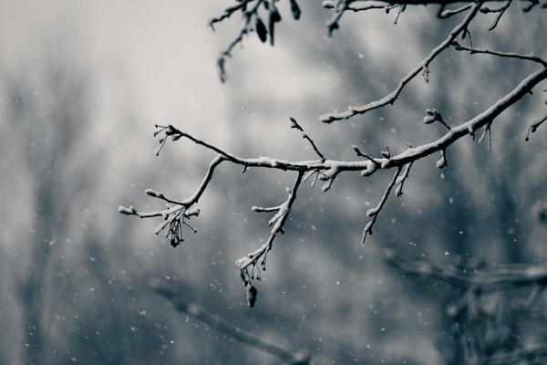 Winter   Landscape by Drew Roberts