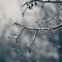 Winter   Vertical