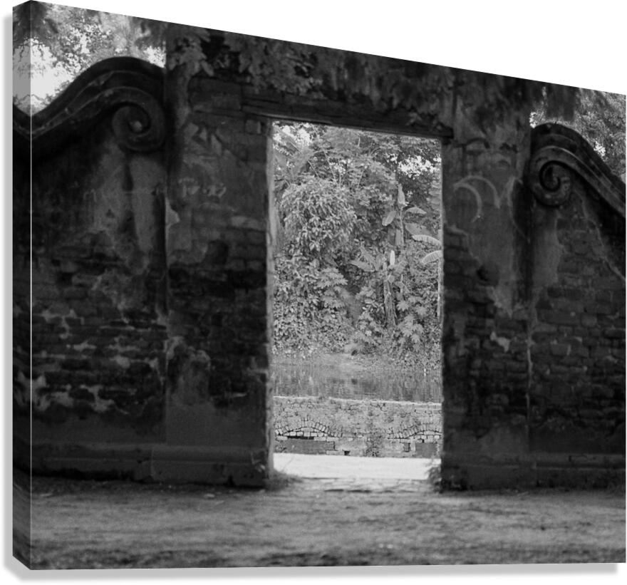 Dreamworld Canvas Print