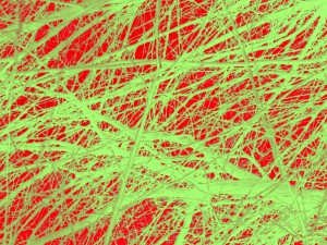 Tree-Line Drawing