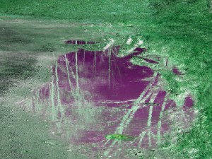 Value of a Puddle 