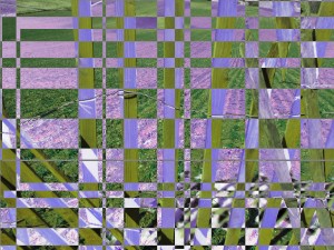 Squarish Fence