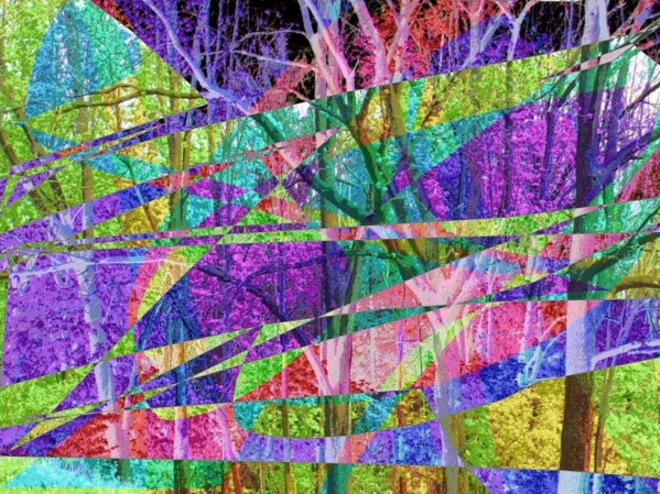 Colorful Trees Print