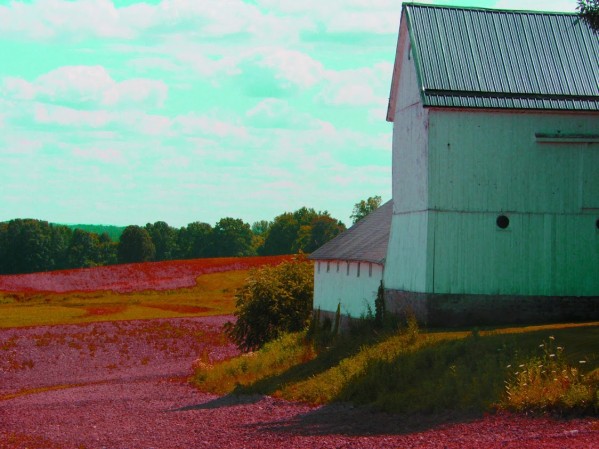 Simple Farmhouse Print