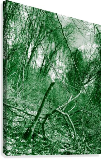 Tree Launcher Canvas Print